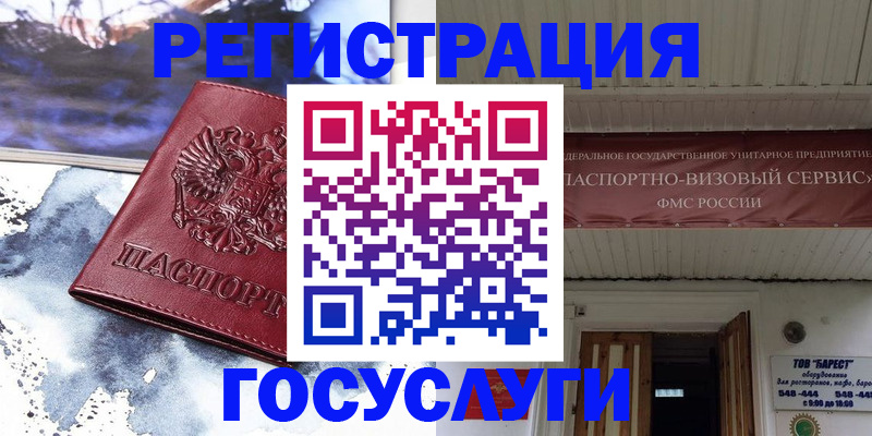 временная регистрация для школы в Палласовке
